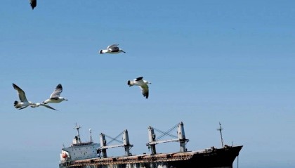 “布”！“火”！绝对是威海最火的地方！