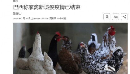 外媒称巴西将宣布新城疫疫情结束!禽肉将恢复输华?