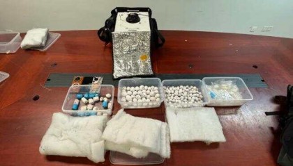 入境旅客把200多枚鹦鹉蛋冲进下水道 经救助37枚鸟蛋成功孵化