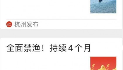 浙江多地通告:本周六起,全面禁止!
