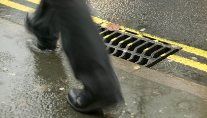 “两热”防控也是责任!广东多家单位因蚊媒传染病防疫不力受处罚