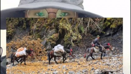 女驴友称徒步时遭65岁马夫猥亵,涉事马夫儿子回应