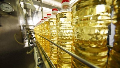 鲁花胖东来卖爆,进口油和家庭榨油机卖火,是该让良币驱逐劣币了