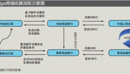 多边央行数字货币桥:发展进程及其影响