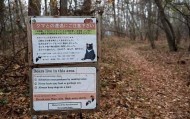 日本遭遇“熊灾”！已致10人死亡，创历史新高