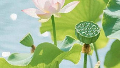 山西南部高温，北部降雨