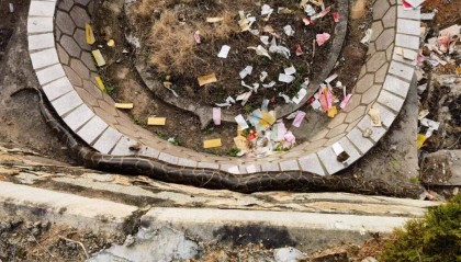 吓人!泉州一墓地惊现50斤巨蟒!抓捕视频太惊险