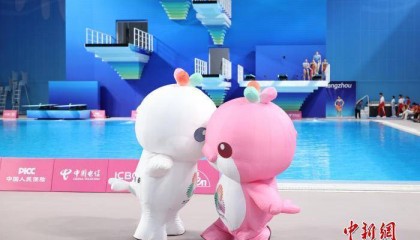 （粤港澳全运会）全运会上这些“动物”，藏着大湾区发展密码