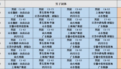 樊振东确认出战2025乒超联赛,平野美宇与孙颖莎成队友,张本美和效力成都队
