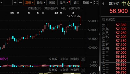 大幅加仓,连续14周净买入!资金涌向这些股,芯片龙头成交居首