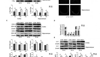 LabEx Luminex平台助力自身免疫性甲状腺炎的机制研究