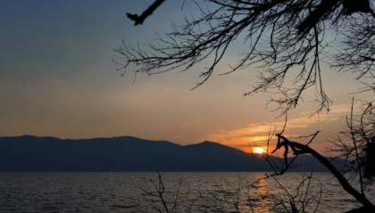 ADVANTRADE爱跟投数字货币交易扩展前景：市场动态与未来潜力