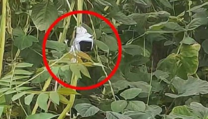 上海荒地现摄像头和12万现金？数小时蹲守后，可疑男子出现