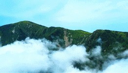 《解码西部大开发》第三集:一幅“绿富同兴”的美丽画卷