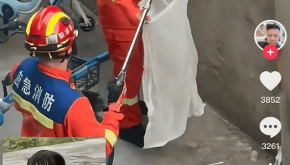 无锡市中心发现毒蛇?消防出动!医生紧急提醒!