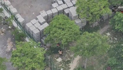 细思古怪!上海不止一人将巨额人民币藏进土里,特意挑荒郊野外?