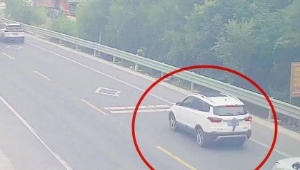 司机将两只老鼠挂后窗雨刮器上:“回家给猫吃”,交警:遮挡车牌扣9分