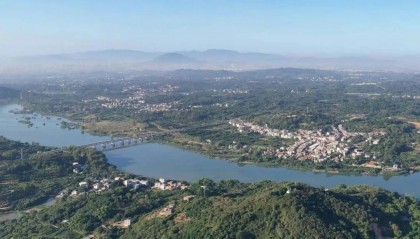 调研报告反映农村宅基地闲置：一村696间房，空置率43.8%