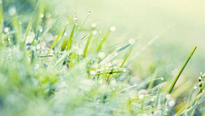 微信游戏开发的价格是多少?