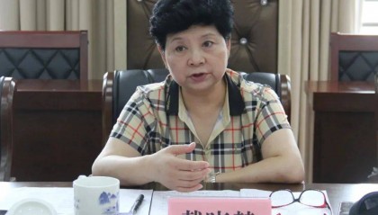 中央巡视组进驻,戴晓慧主动交代问题