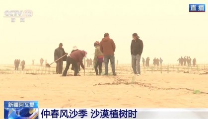 “锁边”→“扩边” 塔克拉玛干沙漠植树造绿迎来新进展