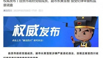 涉嫌严重违纪违法,四川省自贡市政府党组成员、副市长黄雪智接受审查调查