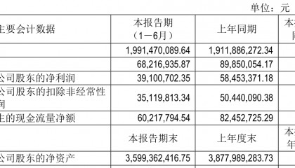 广州酒家:2025年上半年净利润3910.07万元