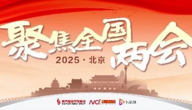 全国政协委员戴斌谈政府大院拆围墙：呼吁常态化向游客开放