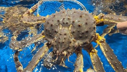 “蟹刺不同!”顾客发现帝王蟹被掉包,把商家告了!判决结果……