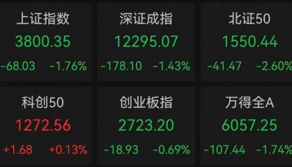 午后突发,605303跌停!融资余额逼近历史峰值,低市盈率+绩优+杠杆资金加仓股揭晓