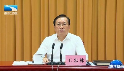 “七查七看”!湖北省委书记王忠林:要真刀真枪、动真碰硬,坚决把问题改彻底、治到位