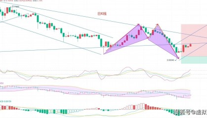 狗狗币(DOGE)浴火重生!8.11币圈院士带你入场!为你护航
