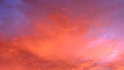 场内期权是什么意思？怎么交易场内期权？