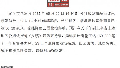 武汉发布暴雨临灾警报!武大校门被淹一米深