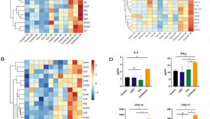 LabEx Luminex平台助力癌症的化疗治疗研究