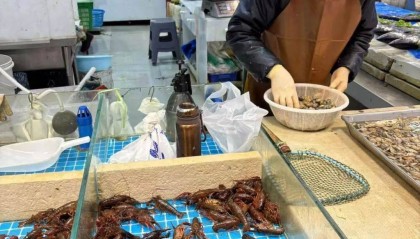 价格暴跌近50%！“接下来还会降”！青岛正大量上市……