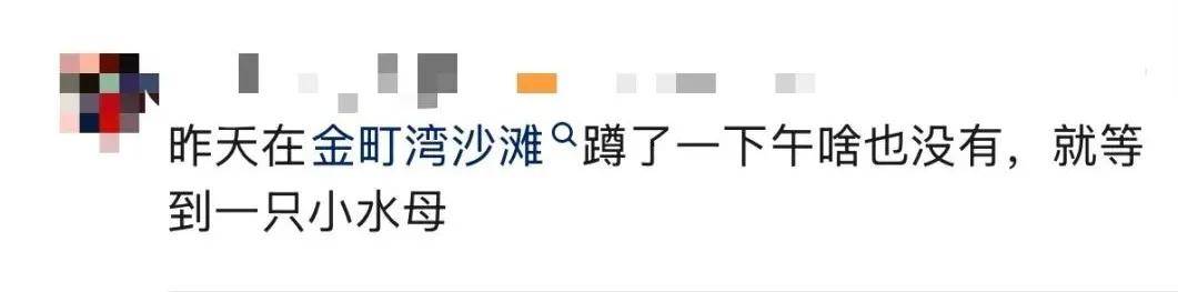 台风退场，海鲜登场！广东多地居民组团赶海，有人捡到“爆桶”，官方重要提醒