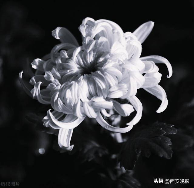 关呈远（副部长级）逝世