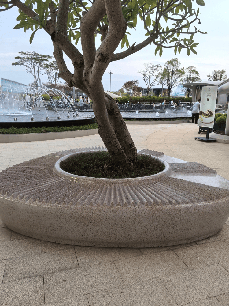 深圳一公园附近现“搓衣板”状绕树石凳，回应：不属公园范围，并非为防止躺卧，出于美观设计