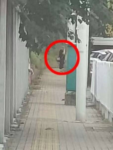 上海荒地现摄像头和12万现金?数小时蹲守后,可疑男子出现